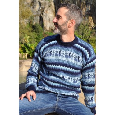 Pull jacquard homme alpaga
